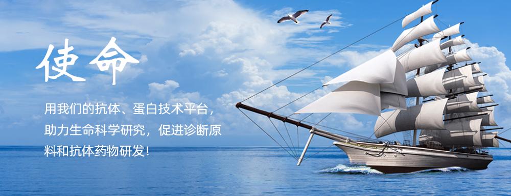 企业使命