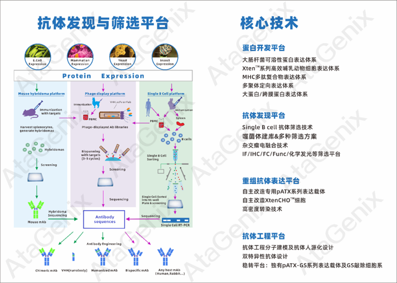 武汉国家生物产业基地公共服务平台—光谷抗体发现与筛选公共服务平台