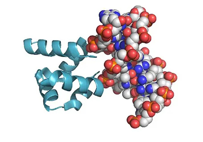 蛋白纯化方法之沉淀法的几种常用方式介绍