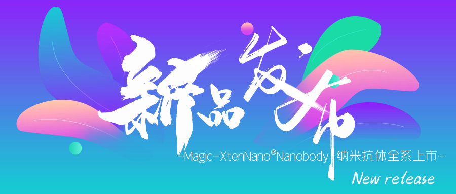 新品发布|Magic-XtenNano®Nanobody纳米抗体全系上市