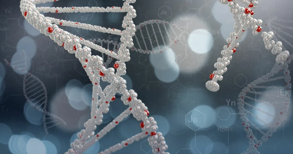 RNA结合蛋白的新功能及机制研究