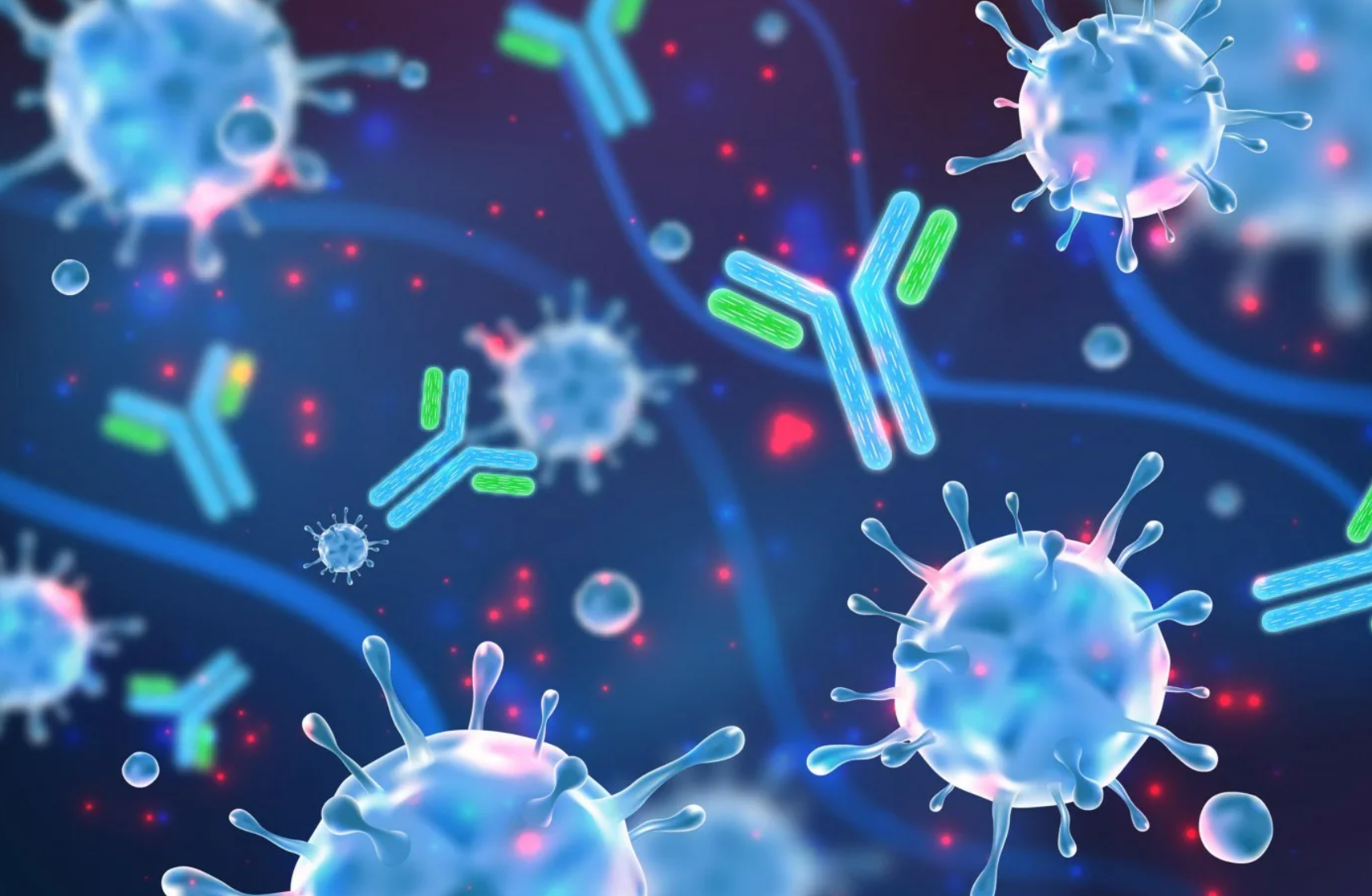 单克隆抗体在人类巨细胞病毒感染领域的研究与应用进展