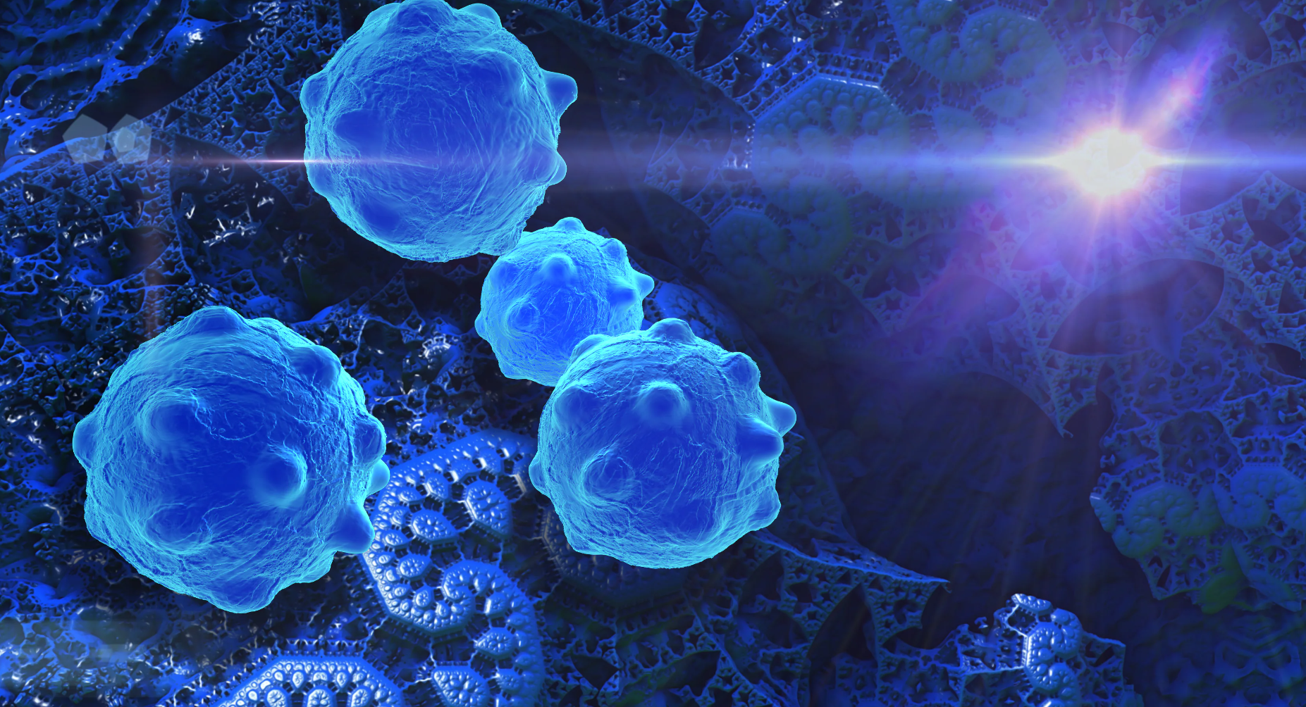 CD276在泛癌中的免疫表达及作用机制