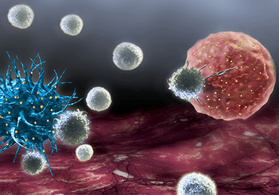 杂交瘤细胞单克隆抗体制备