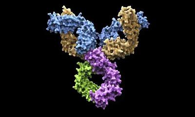 什么是高通量测序技术?该技术在抗体研发中的作用有哪些?