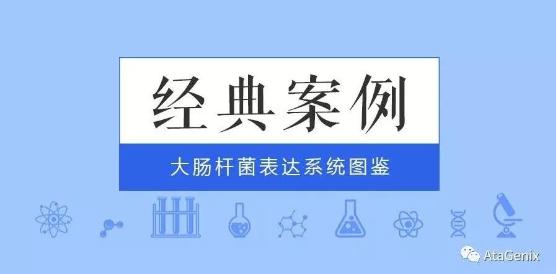 经典案例|普健大肠杆菌表达系统