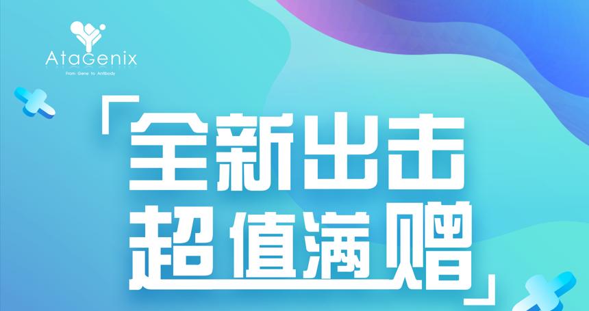 年底重磅 ▏下单即赠礼，满额就加送~超多实用礼品等你来拿