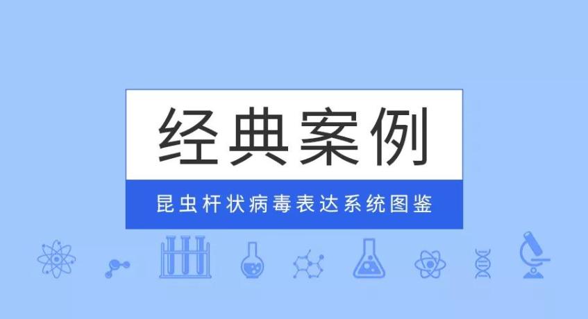 经典案例|普健生物昆虫杆状病毒表达系统