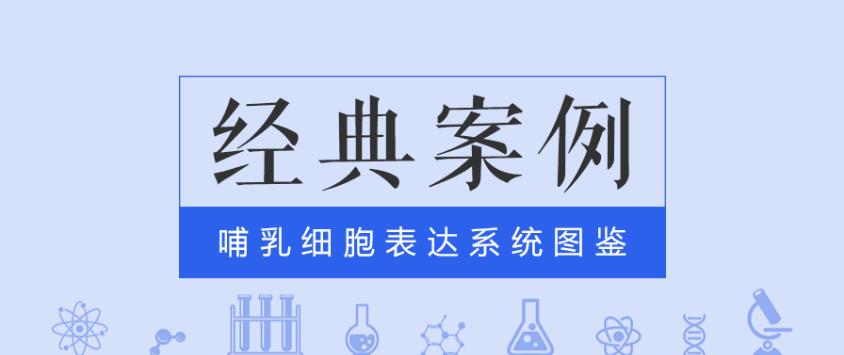 经典案例|普健哺乳动物细胞表达系统之scfv表达