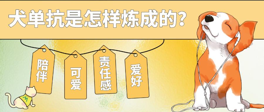 首款犬的单克隆抗体获批！犬单抗是怎样炼成的？