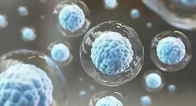 杂交瘤细胞技术